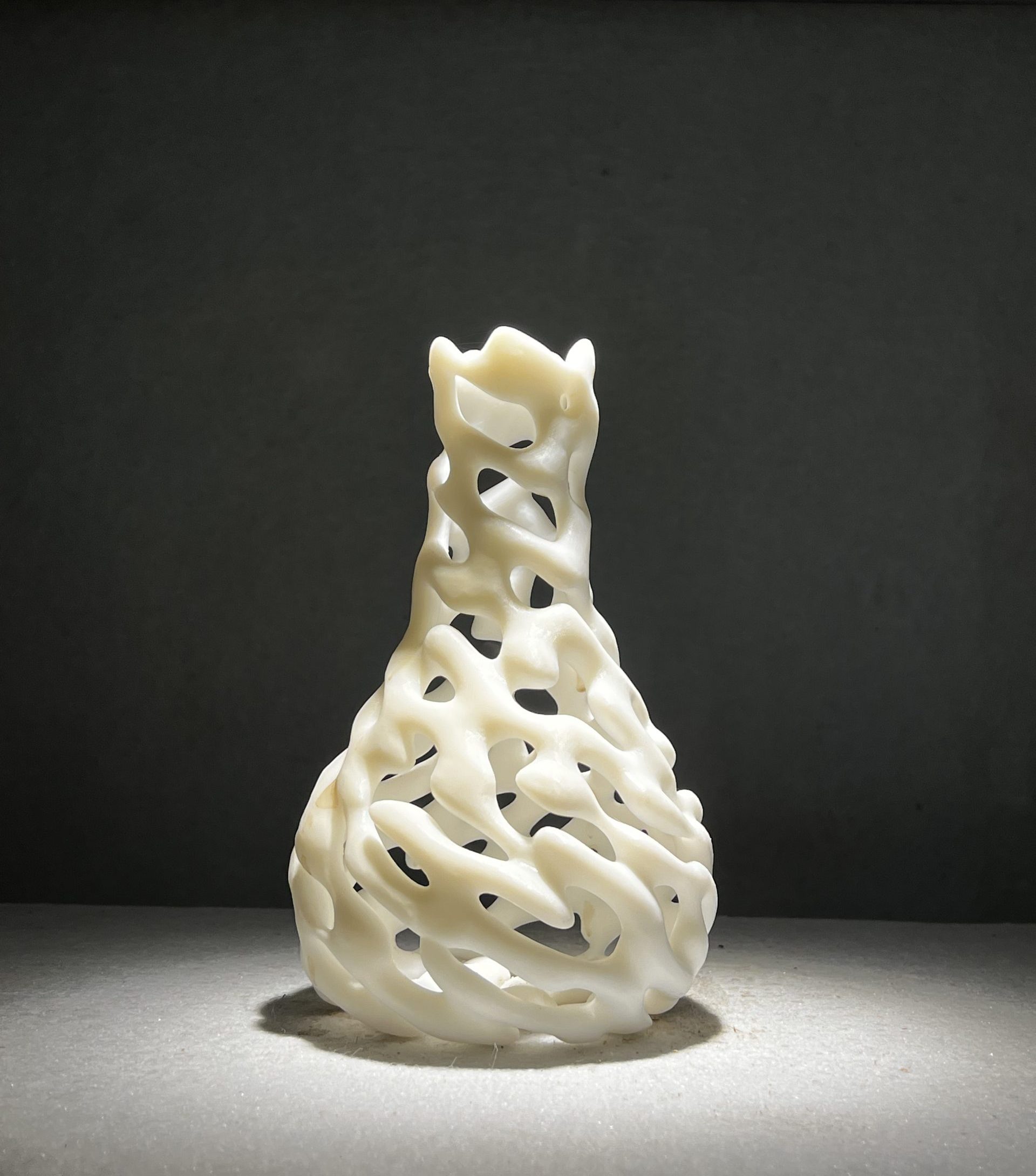 3D printed sculpture with Nylon 12 Precimid1172Pro material